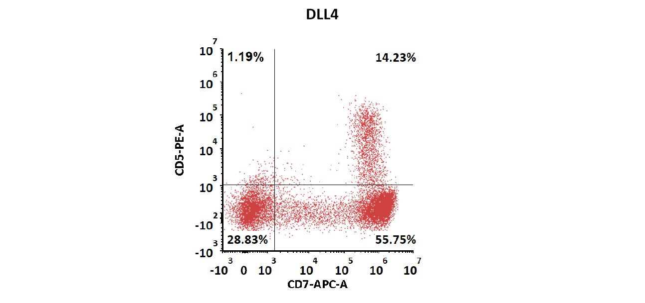 DLL4 APPLICATION DATA