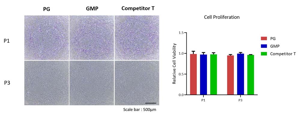 Fibronectin APPLICATION DATA