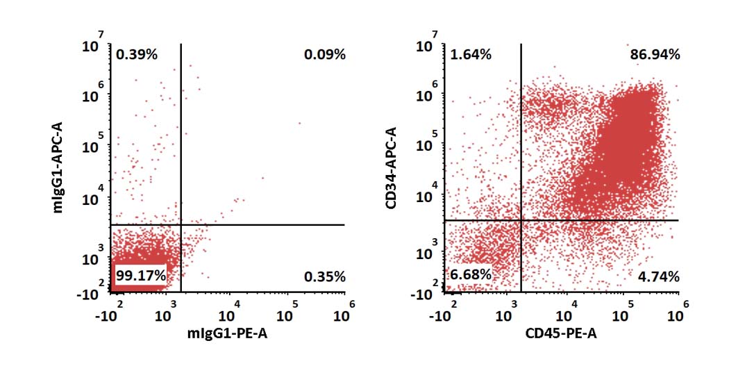 VEGF165 APPLICATION DATA