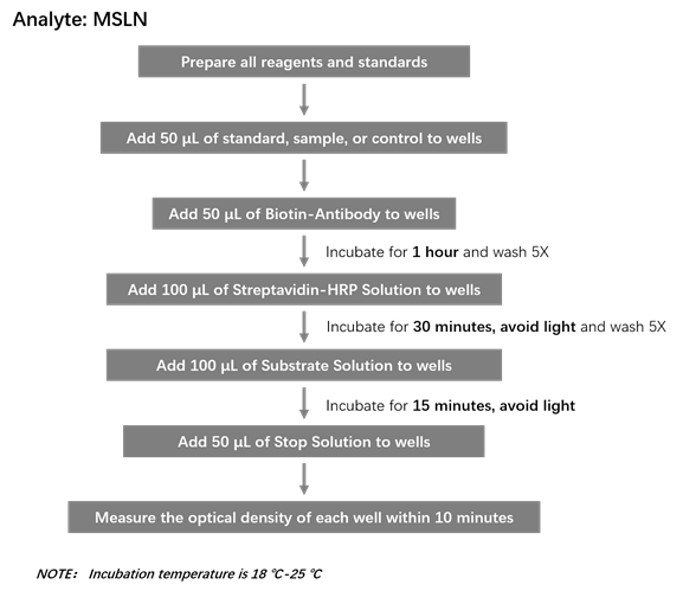 Mesothelin Workflow