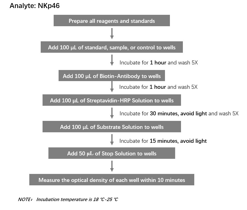 NKp46 Workflow