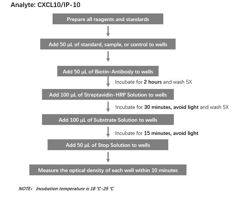 CXCL10 Workflow