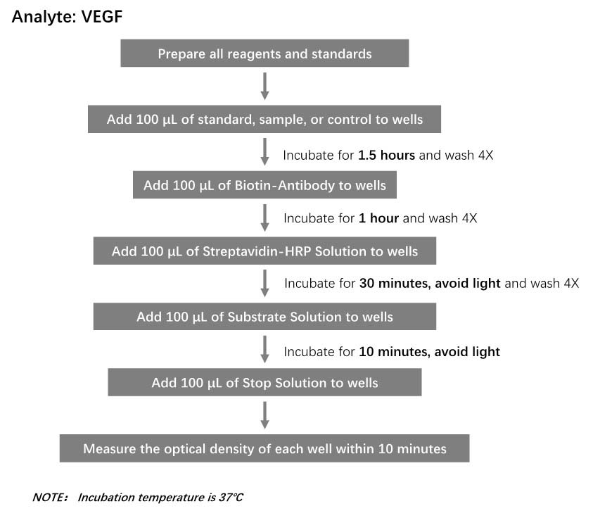 VEGF-A Workflow