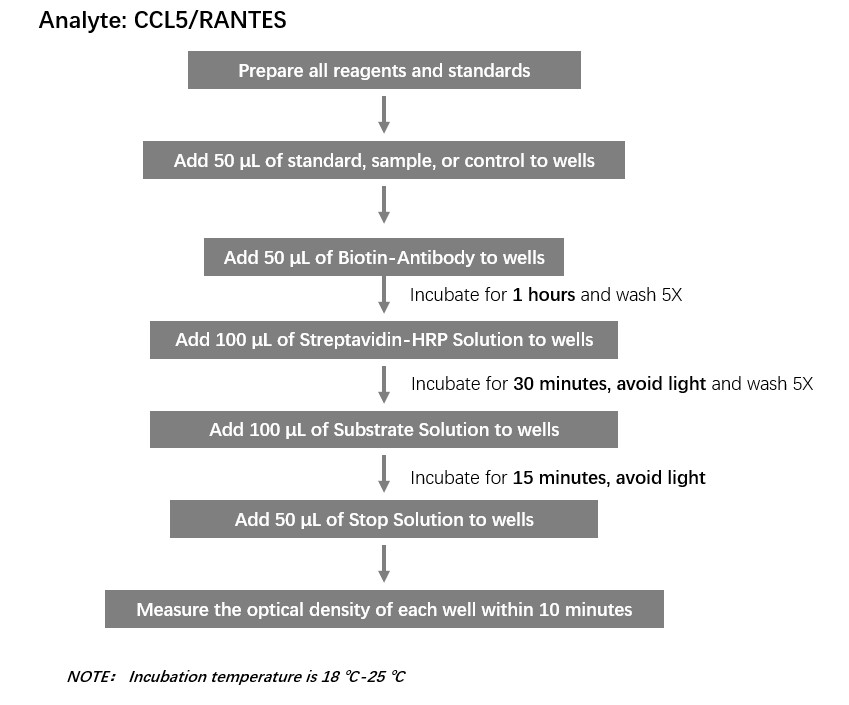 CCL5 Workflow