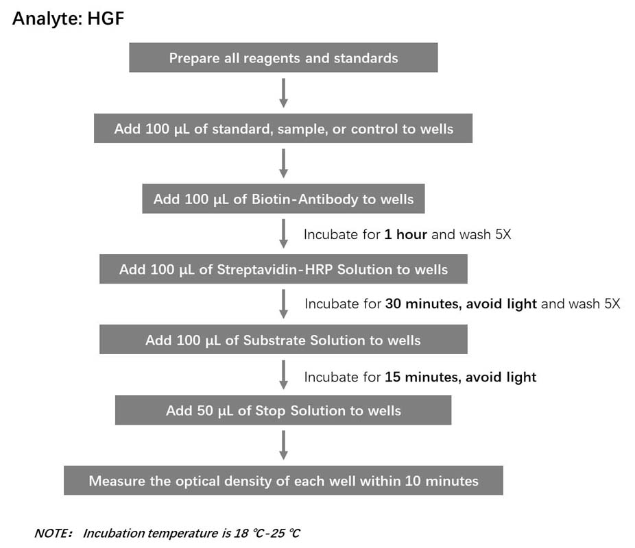 HGF Workflow