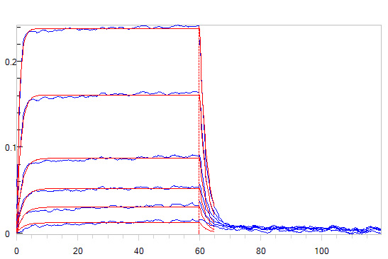 Biotinylated Human BLI