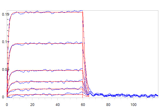 Biotinylated Human BLI