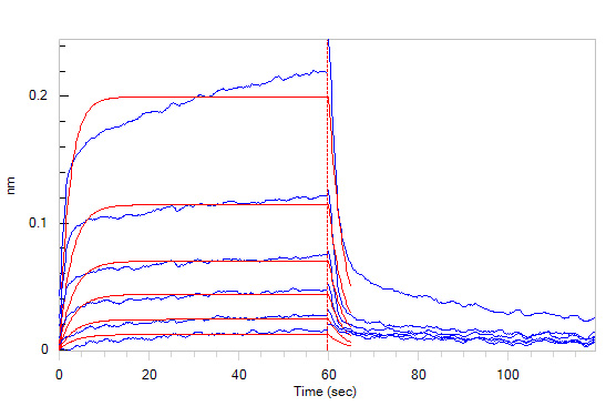 Biotinylated Human BLI