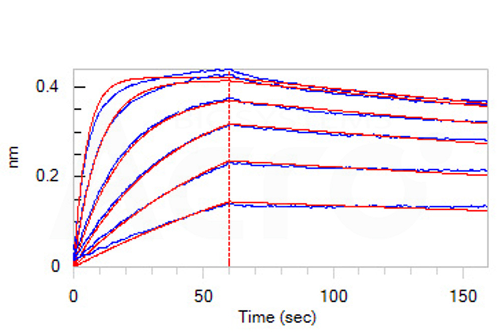 PCSK9 BLI