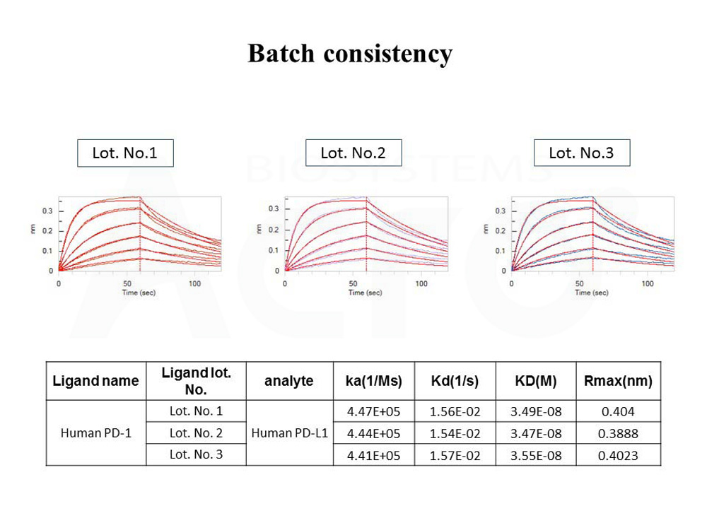 PD-1 BATCH BLI