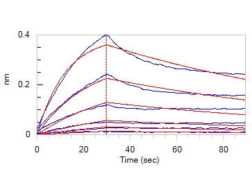 Biotinylated Human BLI