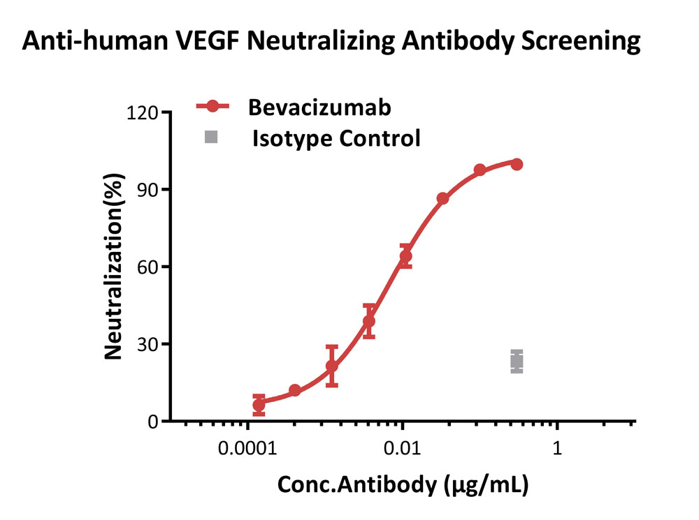 VEGF R2 APPLICATION