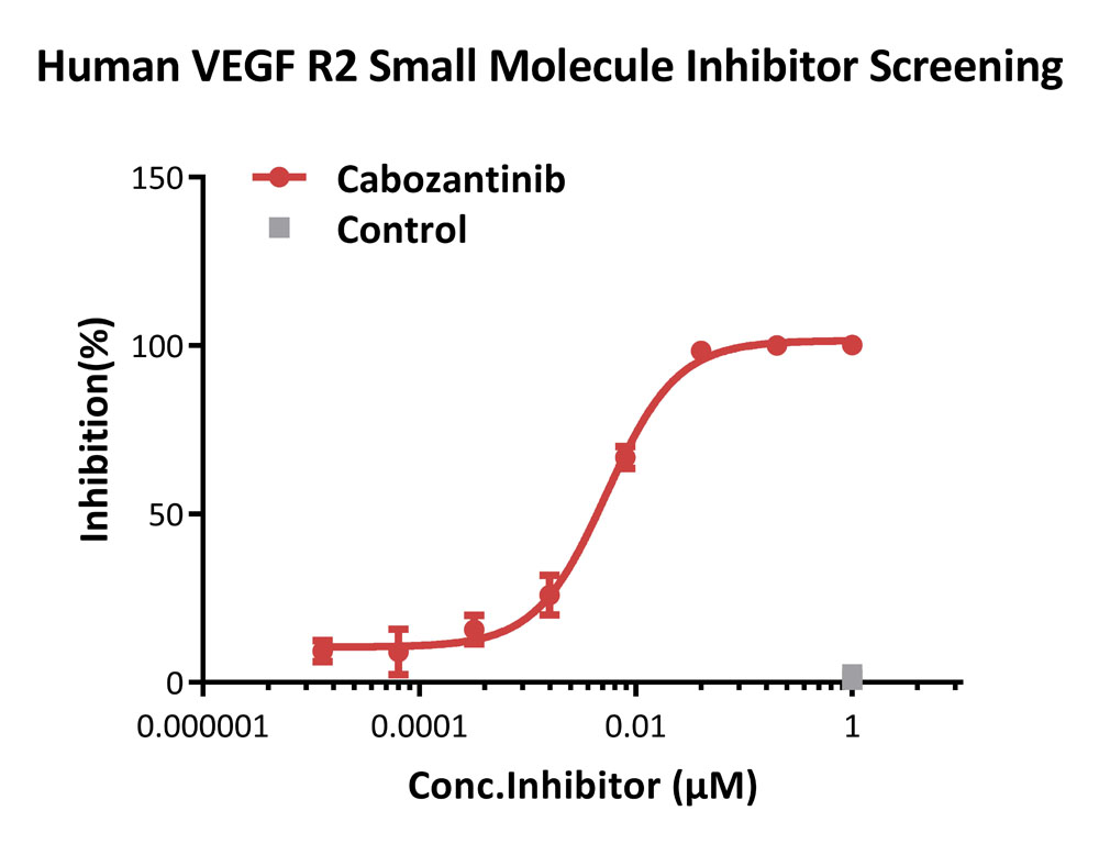 VEGF R2 APPLICATION