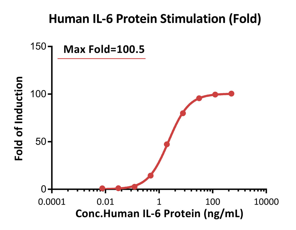 STAT3 SIGNALING