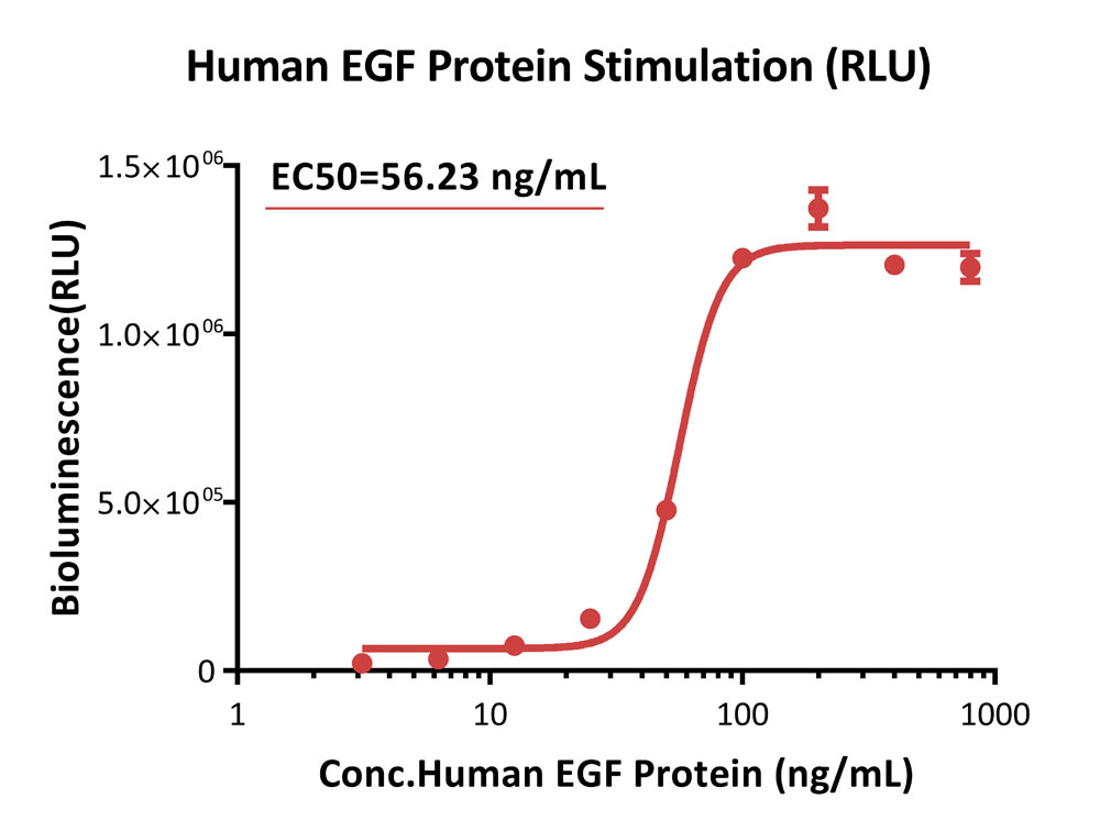 EGF R SIGNALING