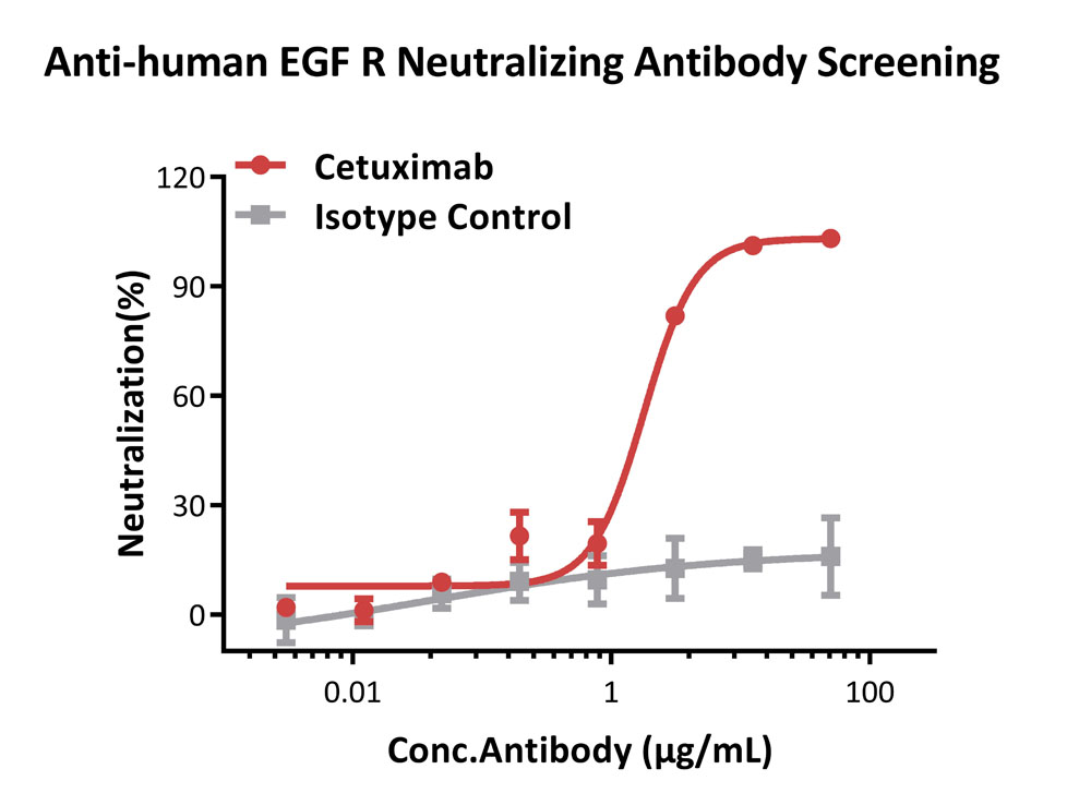 EGF R-STAT3 APPLICATION