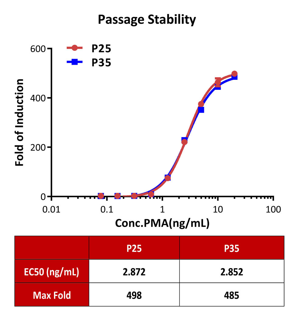 NFAT PASSAGE