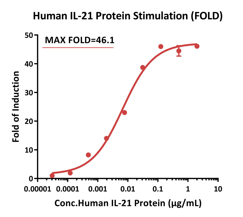 IL-21 R SIGNALING