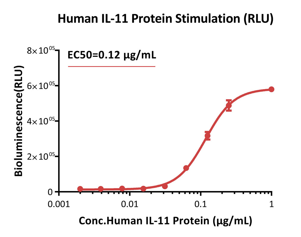 IL-11 R alpha SIGNALING