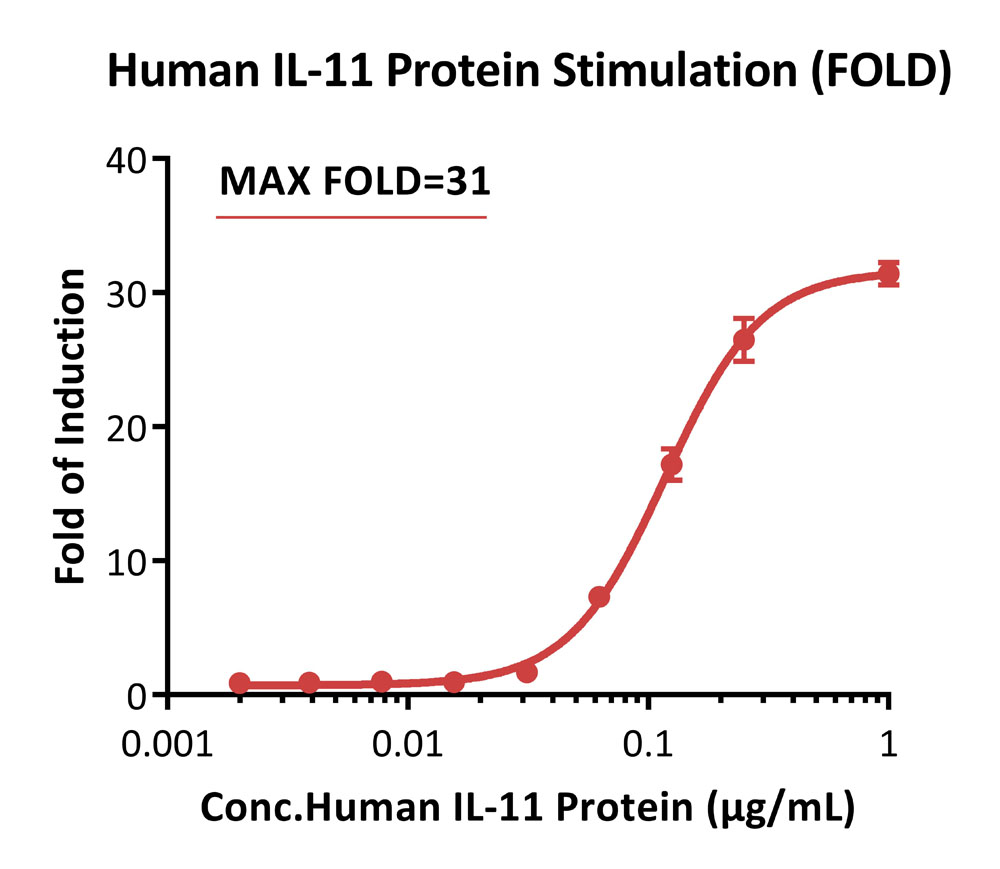 IL-11 R alpha SIGNALING