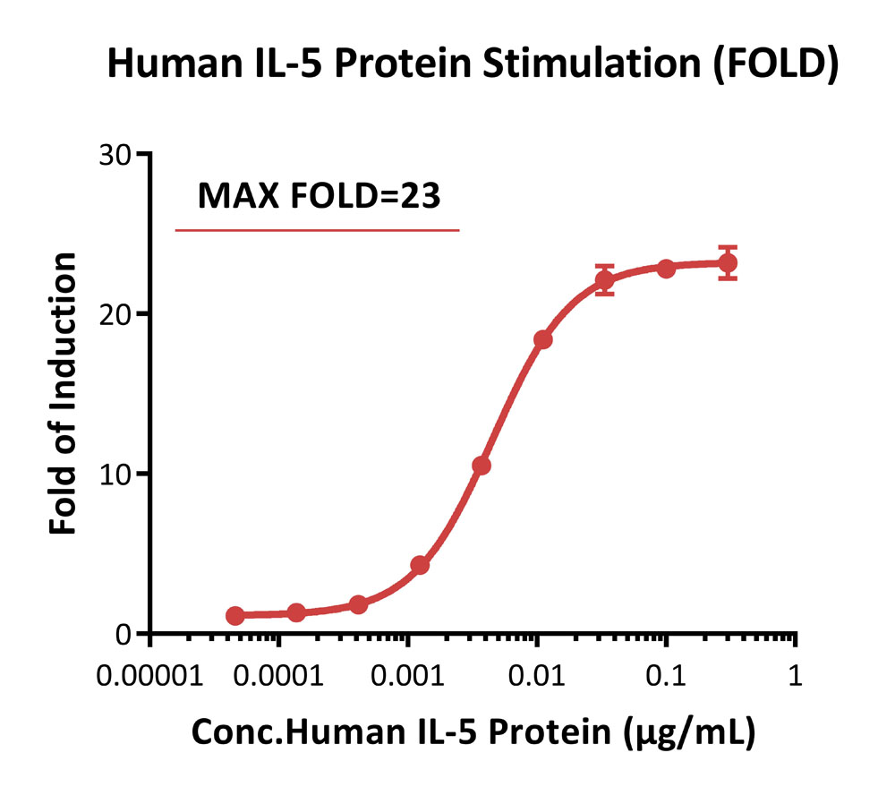 IL-5 R alpha/CD131 SIGNALING