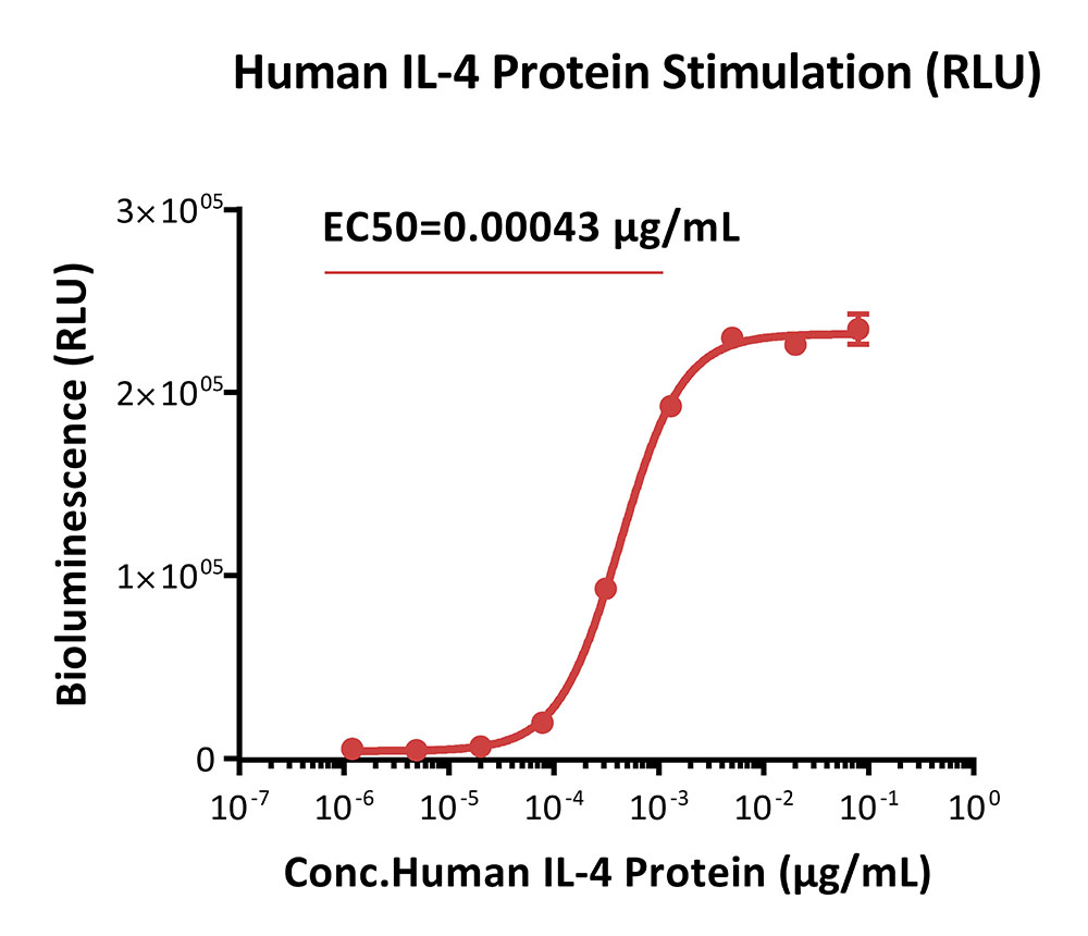 IL-4 R alpha/IL-13 R alpha 1 SIGNALING