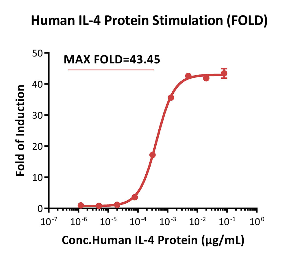 IL-4 R alpha/IL-13 R alpha 1 SIGNALING