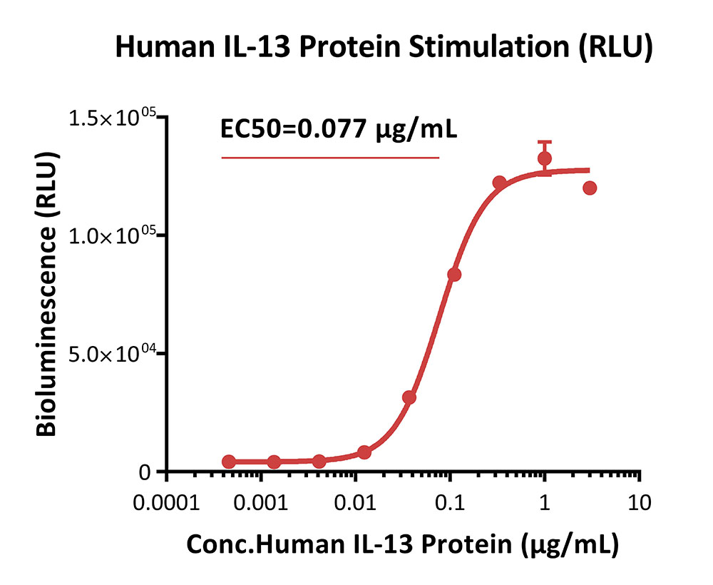 IL-4 R alpha/IL-13 R alpha 1 SIGNALING