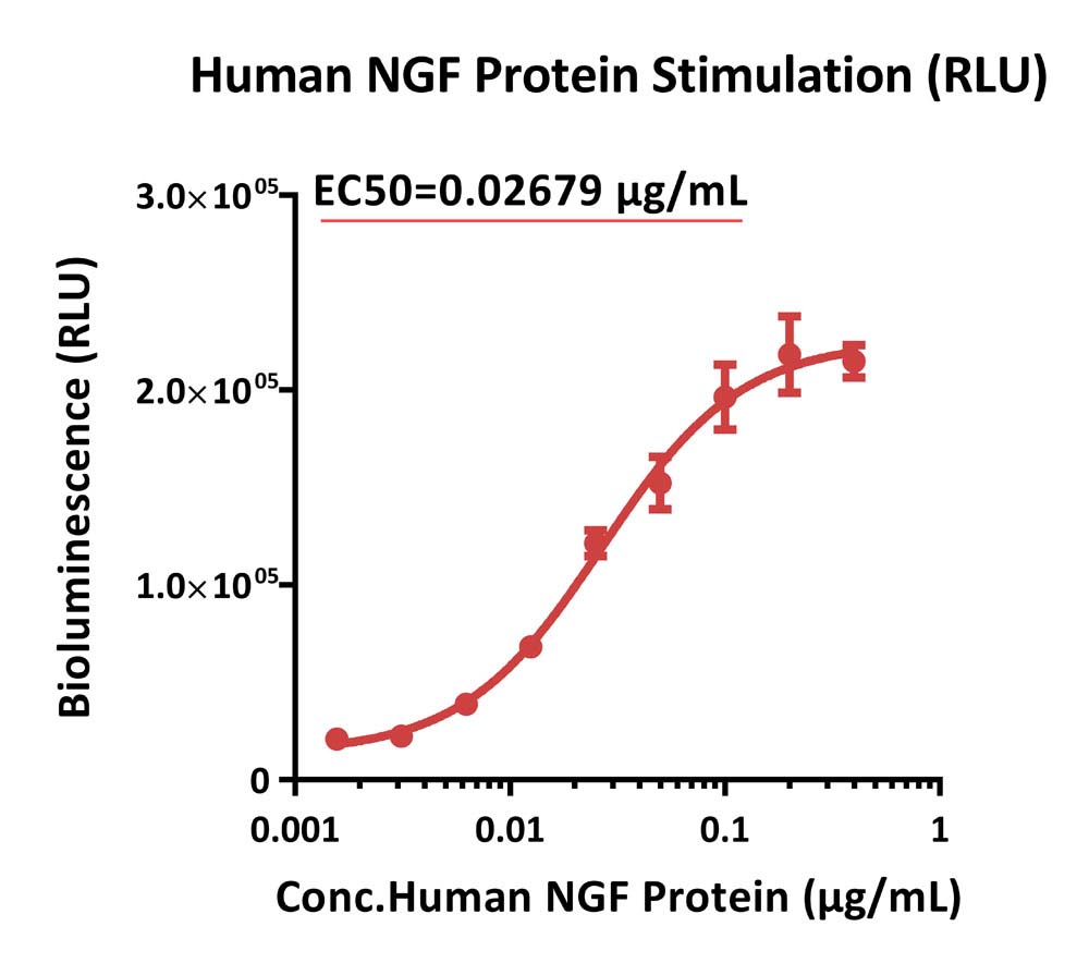 TrkA SIGNALING