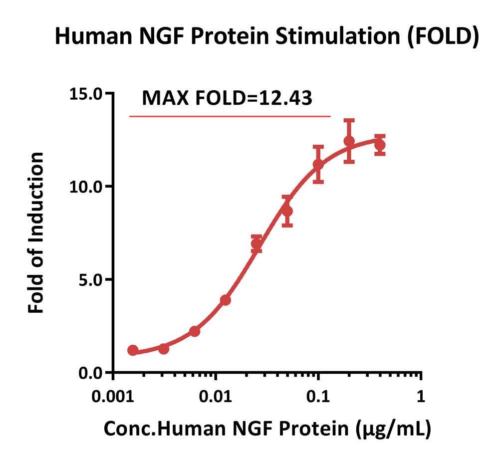 TrkA SIGNALING