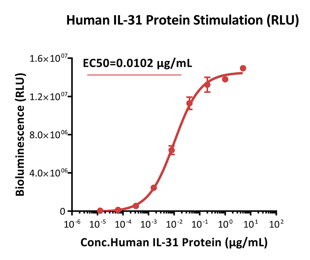 IL-31 RA / OSMR SIGNALING