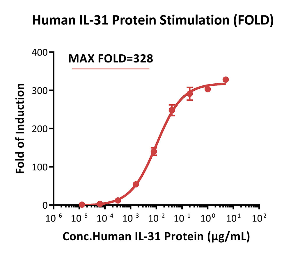 IL-31 RA / OSMR SIGNALING