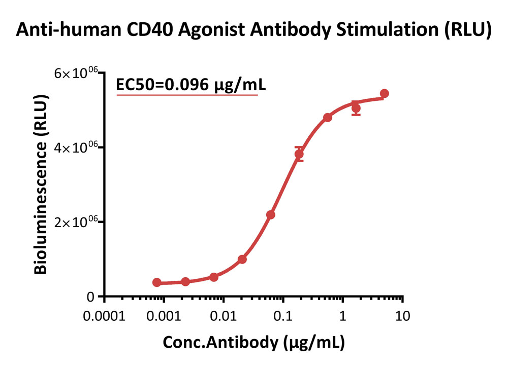 CD40 SIGNALING