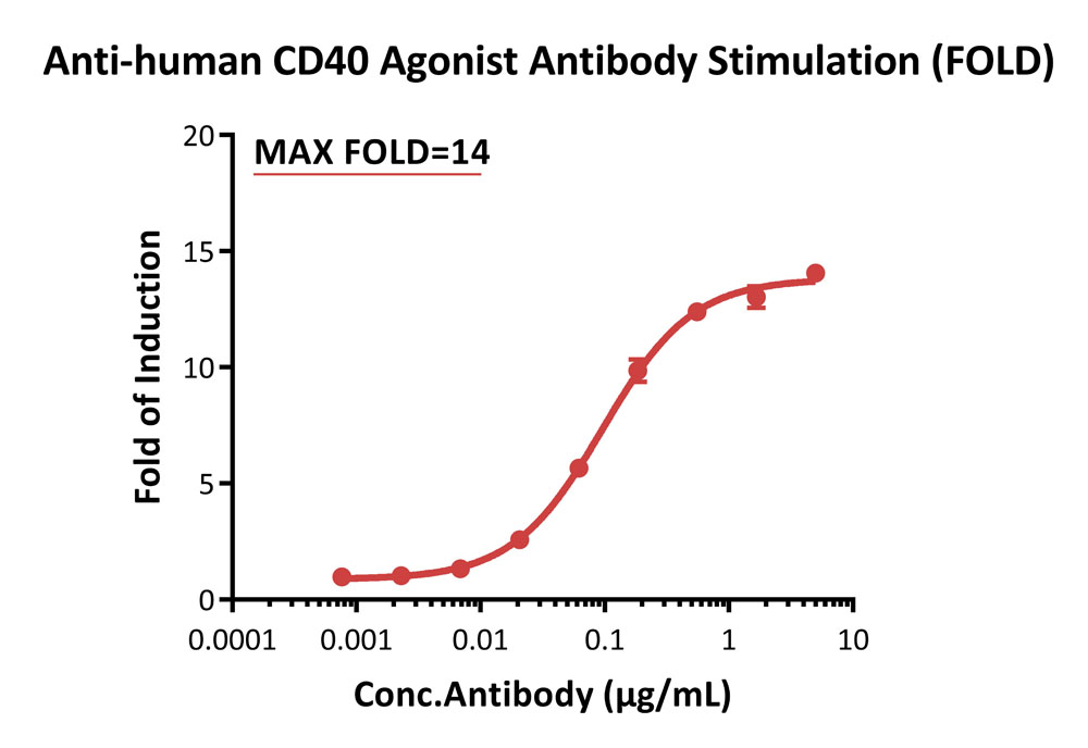 CD40 SIGNALING