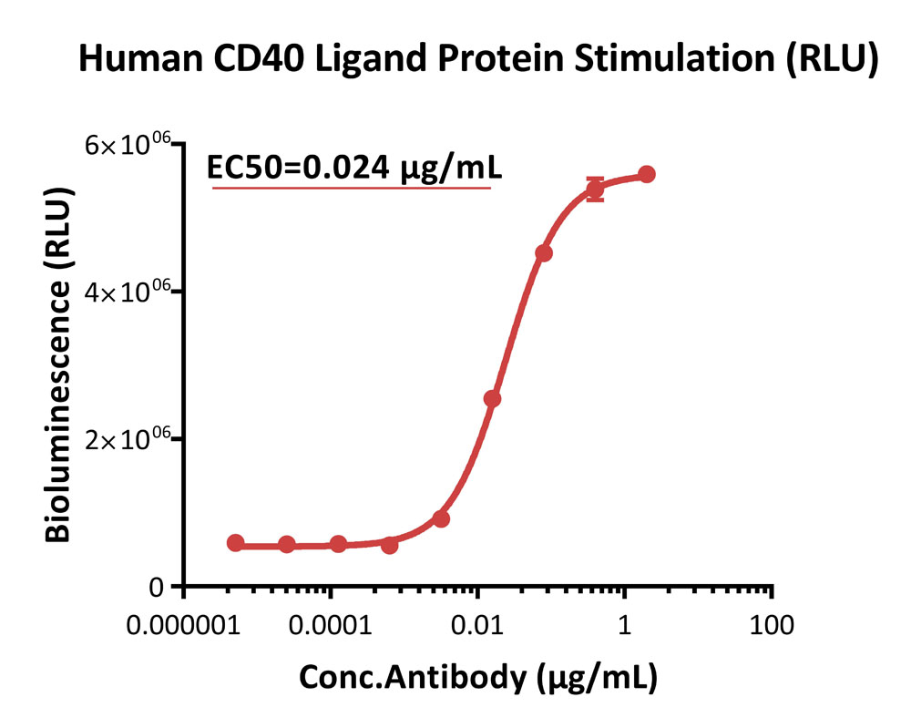 CD40 SIGNALING