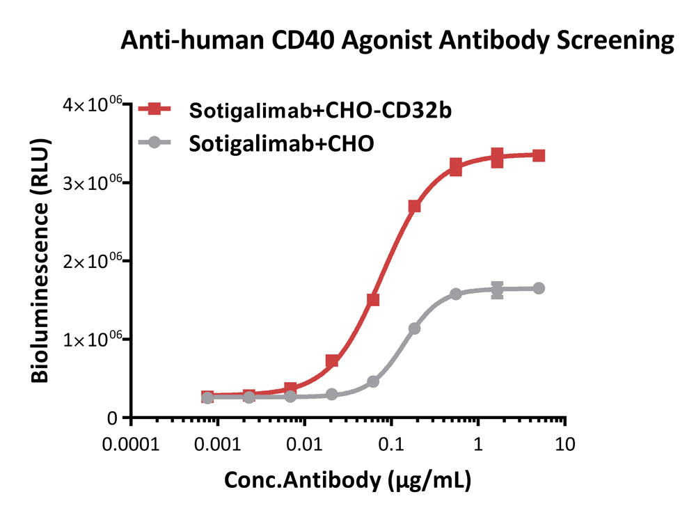 CD40 APPLICATION