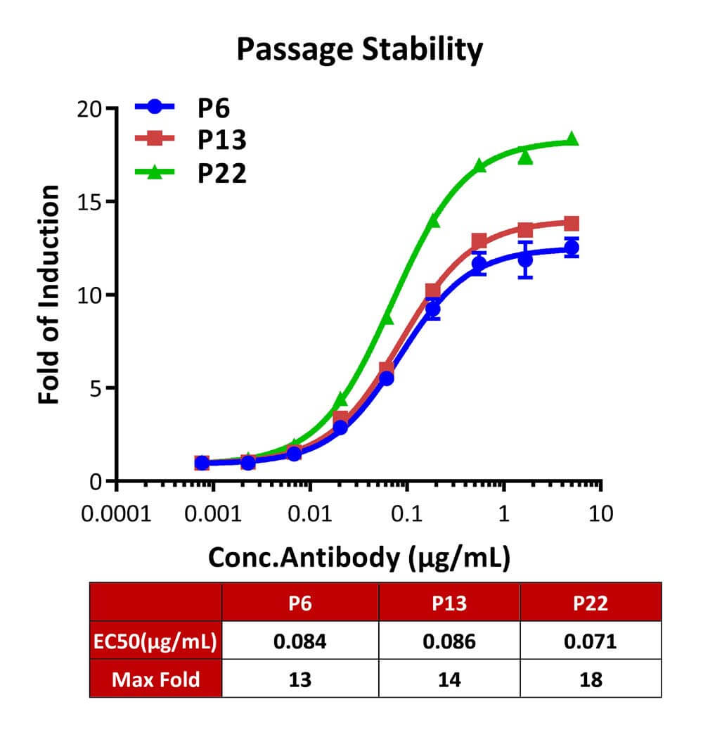 CD40 PASSAGE