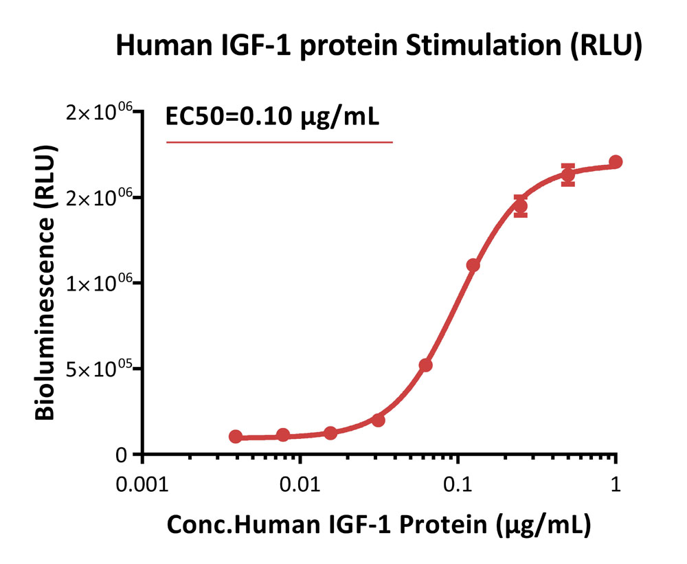 IGF-I R SIGNALING