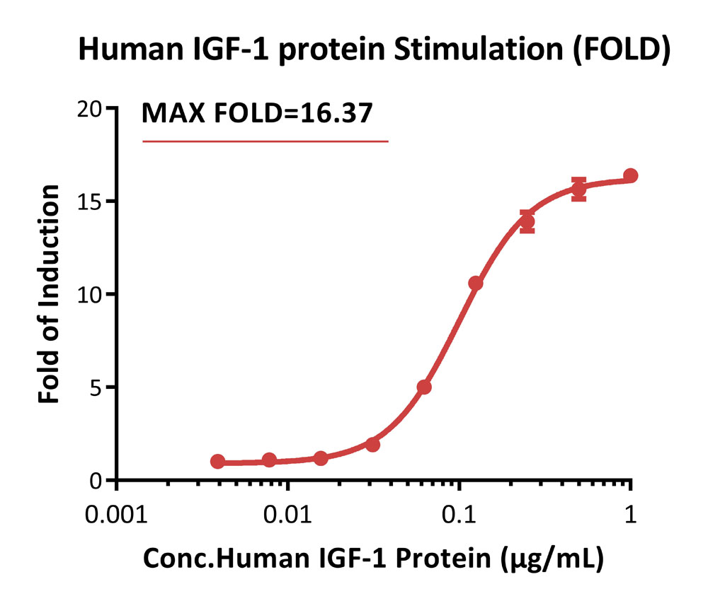 IGF-I R SIGNALING