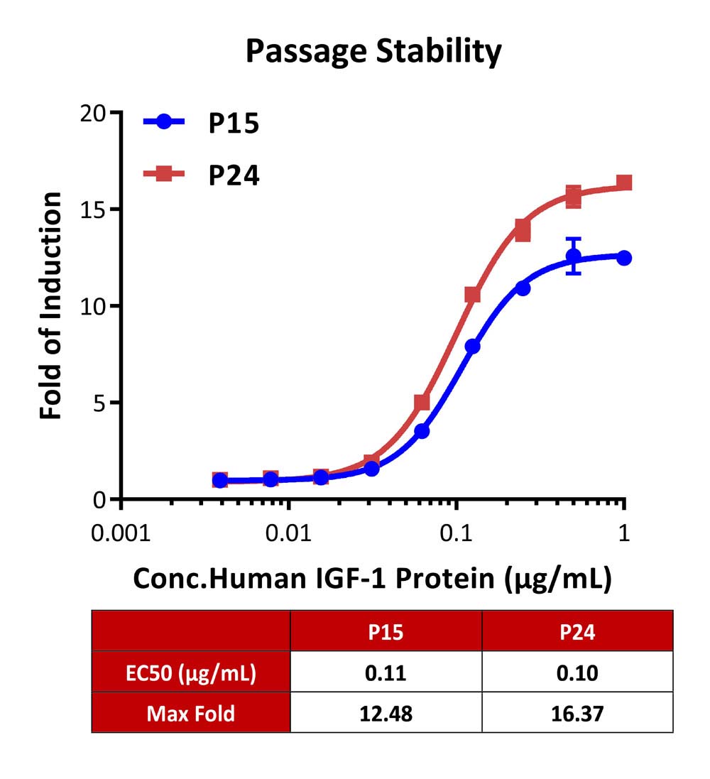 IGF-I R PASSAGE