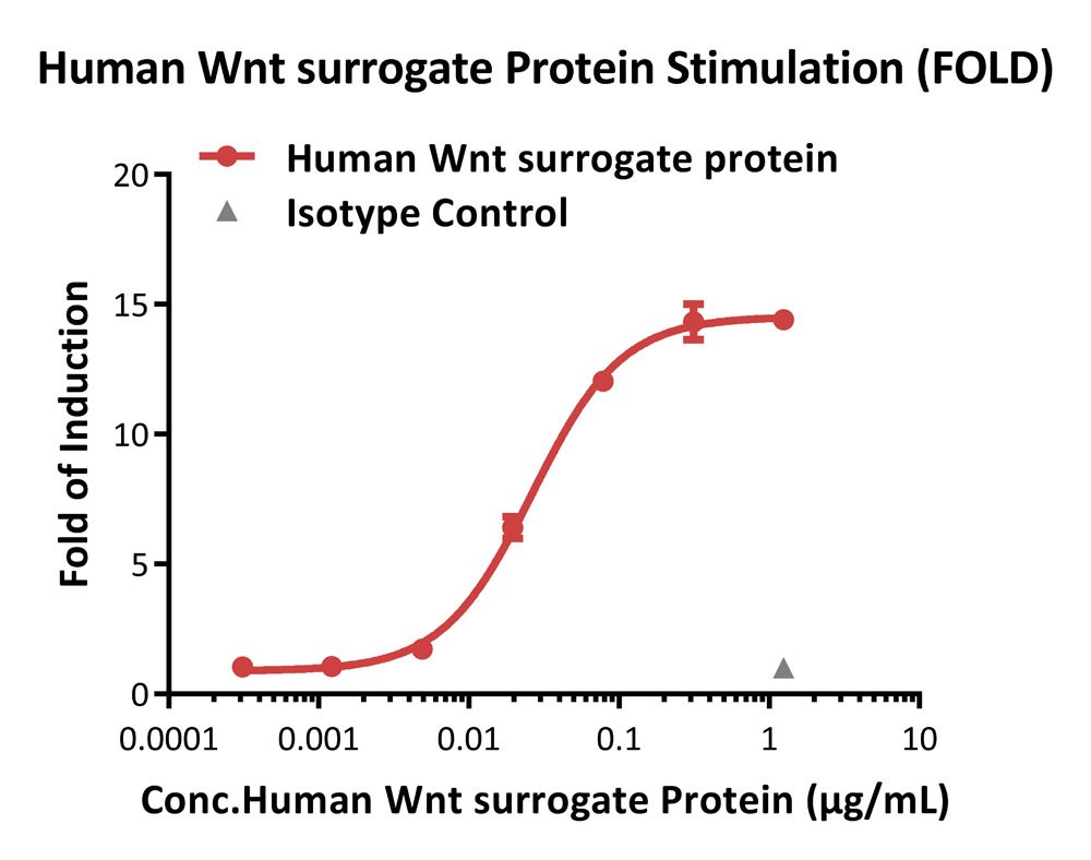 TCF/LEF SIGNALING