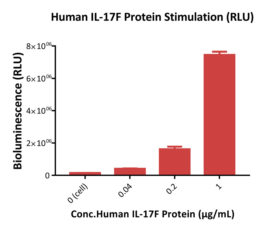 IL-17 RA & IL-17 RC SIGNALING