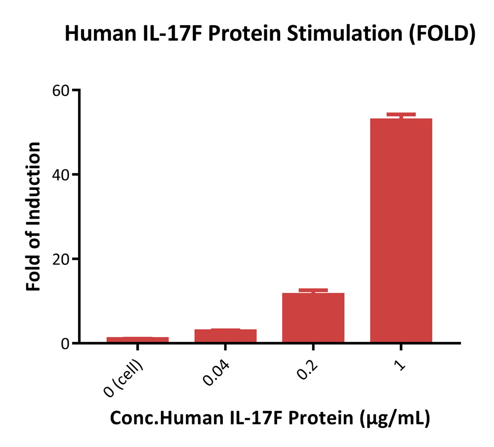 IL-17 RA & IL-17 RC SIGNALING