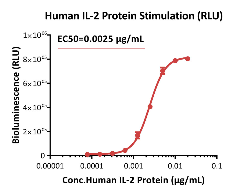 IL-2 R beta & IL-2 R gamma SIGNALING