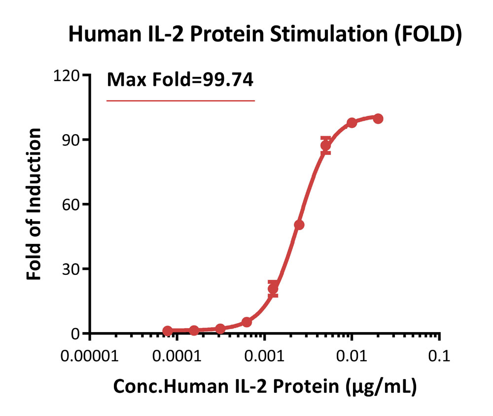 IL-2 R beta & IL-2 R gamma SIGNALING