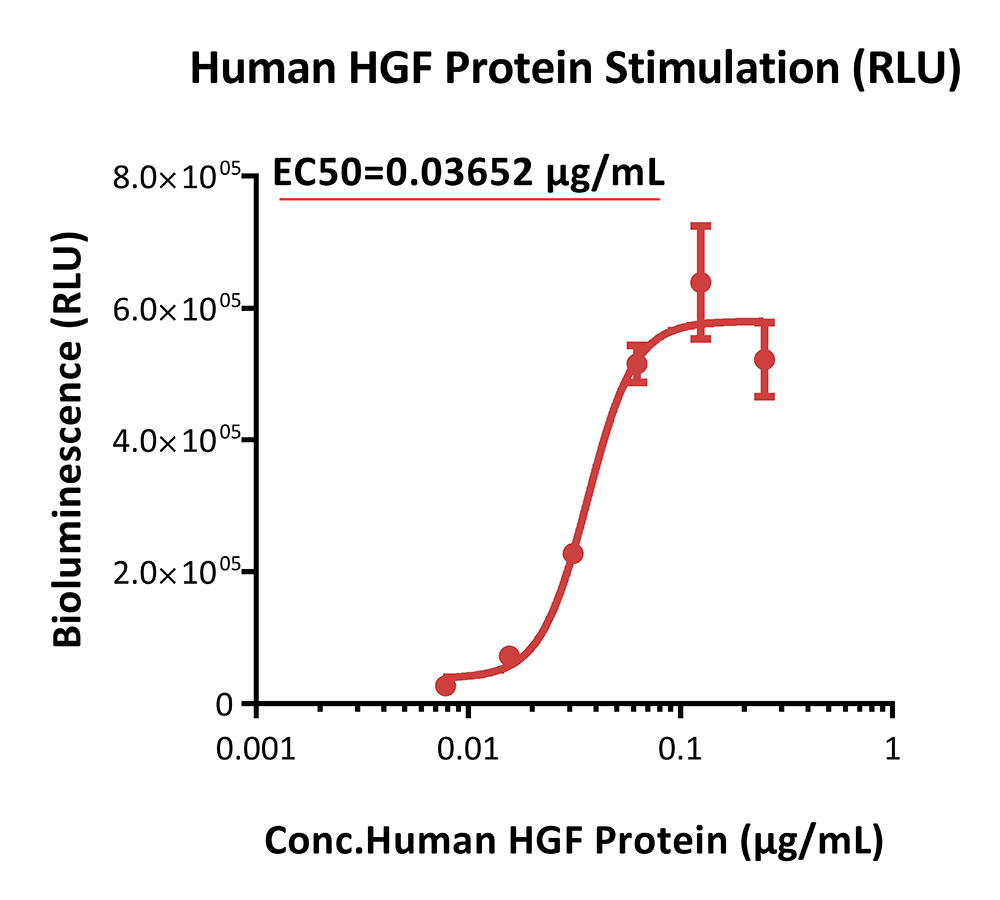 HGF R SIGNALING