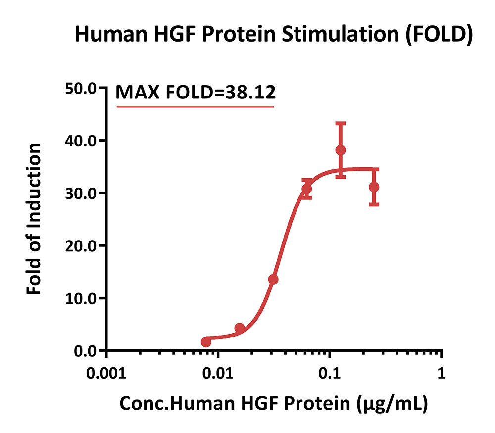 HGF R SIGNALING