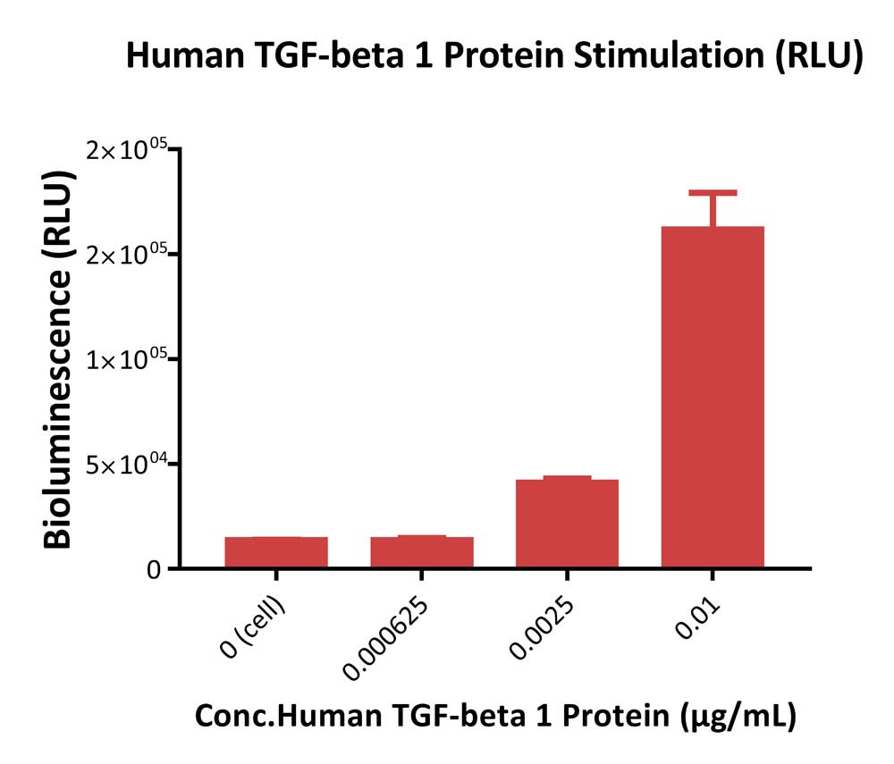 TGF-beta 1 SIGNALING