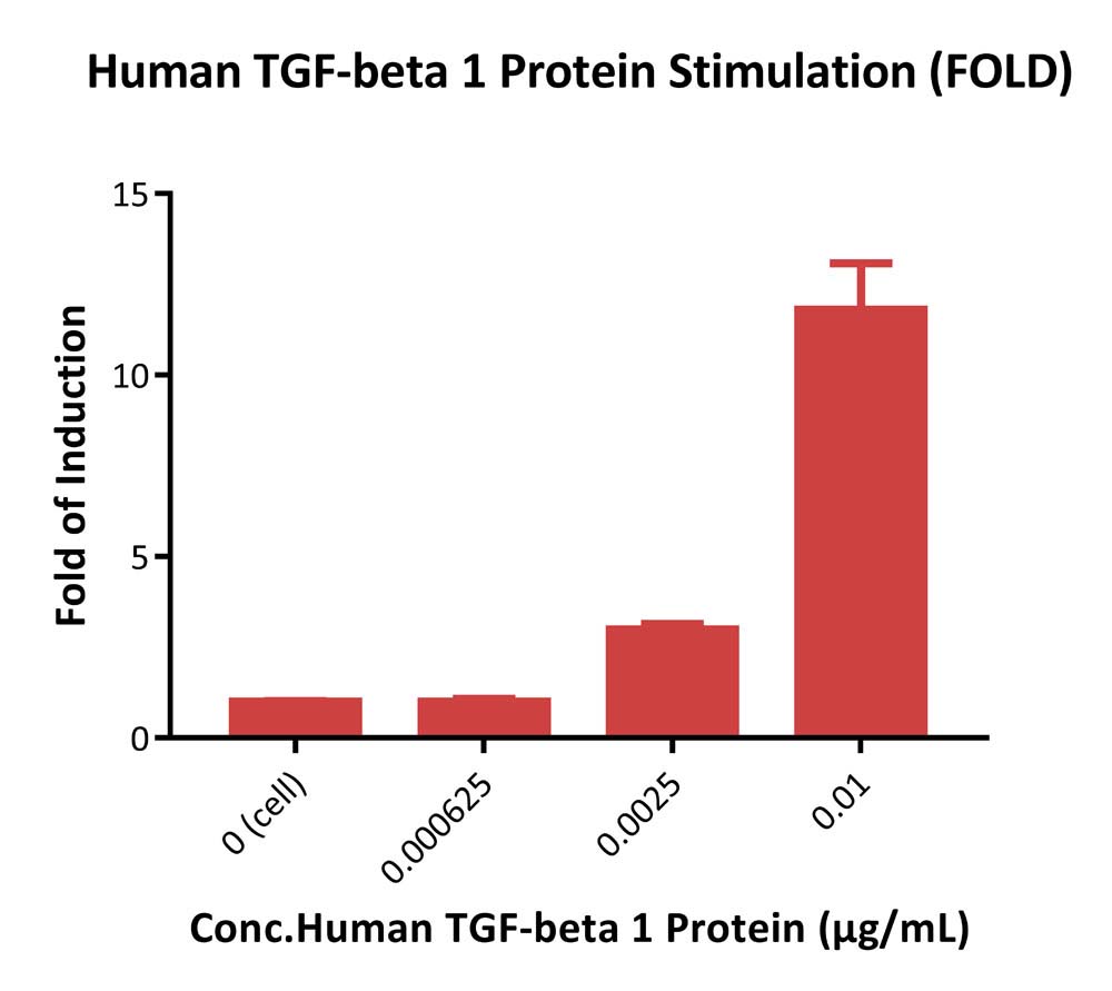 TGF-beta 1 SIGNALING