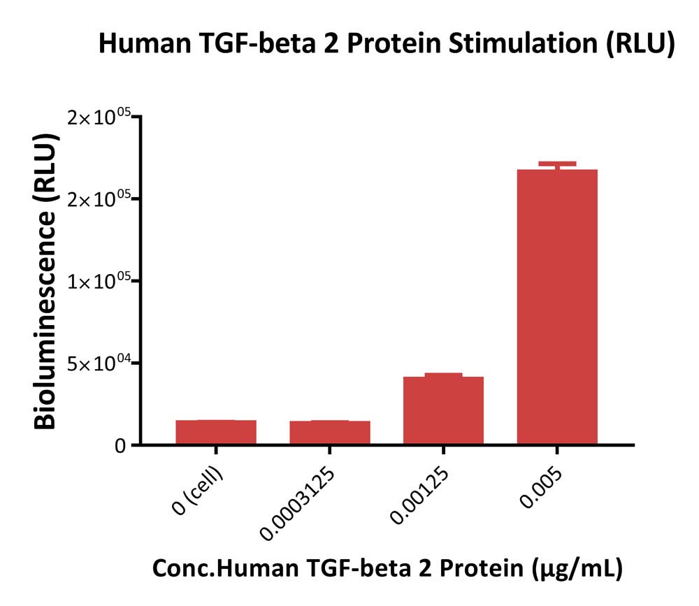 TGF-beta 1 SIGNALING